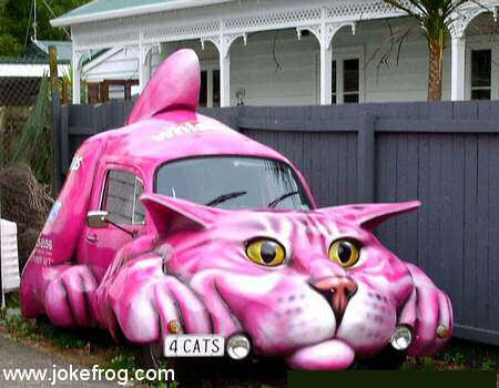 Carro Gato